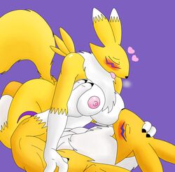 anthro big_breasts blush breast_sucking breasts breasts_grab closed_eyes cowgirl_position dgfox digimon digimon_(species) digital_media_(artwork) duo erect_nipples facial_markings female female_on_top fur hand_on_head head_markings heart male mammal markings muscular muscular_male nipples nude on_top orange_fur pleasured renamon sex simple_background straight sucking tongue tongue_out yellow_fur