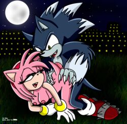 amy_rose anthro female fur hedgehog male mammal riku_(artist) sex sonic_(series) sonic_the_werehog sonic_unleashed straight straight_hair werehog