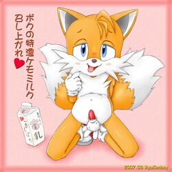 2007 anthro balls canine fox front_view fur heart kneeling looking_at_viewer male male_only mammal nude penis pink_background ryuconboy solo sonic_(series) sonic_the_hedgehog_(series) sonic_the_hedgehog_2 straight_hair tagme tails text translation_request