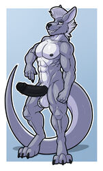 anthro balls erection humanoid_penis kangaroo kurtassclear looking_at_viewer macropod male male_only mammal marsupial muscular muscular_male pecs penis smile solo standing