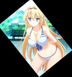 elcia harvence from koikishi purely kiss