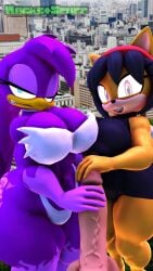 3d 3d_(artwork) absurd_res annoyed anthro ass avian balls big_balls big_breasts big_butt big_penis bird breasts city city_background clenched_teeth clothing digital_media_(artwork) domestic_cat felid feline felis female first_person_view genitals group handjob hi_res hirundinid honey_the_cat huge_balls huge_butt huge_cock huge_thighs humanoid_genitalia humanoid_penis leotard looking_at_viewer male male/female mammal oscine passerine penile penis rocketspuff sega sex smile sonic_(series) sonic_riders sonic_the_fighters sonic_the_hedgehog_(series) standing swallow_(bird) teeth thick_thighs thong trio underwear wave_the_swallow