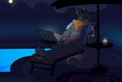 alcohol anthro balls beverage blep candle canid canine canis claws clothed clothing computer container cup detailed_background drinking_glass electronics fence fur genitals glass glass_container glass_cup grey_body grey_fur humanoid_genitalia humanoid_penis laptop male mammal night nipples open_clothing open_shirt open_topwear outside pawpads paws penis pool poolside pubes relaxing shirt sinisterheaven sitting solo toe_claws tongue tongue_out topwear umbrella water wine wine_glass wolf