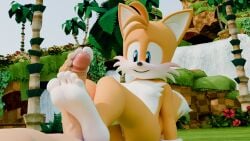 16:9 3d_(artwork) 5_toes anthro blush canid canine digital_media_(artwork) duo feet foot_fetish foot_play footjob fox genitals hi_res humanoid_feet humanoid_genitalia humanoid_penis male male/male mammal palm_tree penis plant plantigrade sega sex sonic_the_hedgehog_(series) tails tails_the_fox toes tree twintails3d two-footed_footjob waterfall widescreen