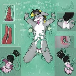 4_toes anal anal_sex animal_genitalia animal_penis anthro arms_above_head arms_tied ass balls barefoot begging begging_for_mercy black_nose blush bodily_fluids bondage bondage bound brush brushing canid canine canine_genitalia canine_penis canis cilia claws crying crying_laughing digital_media_(artwork) drooling ears_down english_text erection feet flesh_binds flesh_wall foot_fetish foot_lick foot_play forced fox fur genital_fluids genitals hair hi_res implied_permanent internal internal_anal internal_penis knil_(character) knot laugh licking male male_penetrated mammal milking_tentacles multicolored_body multicolored_fur multicolored_hair nipple_fetish nipple_play nipples nude one_eye_closed open_mouth pawpads paws penetration penile penis penis_milking pink_pawpads pivoted_ears plush_hyena precum prostate prostate_stimulation restrained restraints saliva sex smile soles solo solo_focus sucking tears teeth tendrils tentacle tentacle_cilia tentacle_mouth tentacle_sex tentacle_tickling tentacle_tongue text tickle_torture tickling tickling_anus tickling_armpits tickling_balls tickling_belly tickling_feet tickling_genitalia tickling_legs tickling_nipples tickling_paws tickling_penis tickling_toes toe_claws toe_lick toes tongue tongue_out toothbrush urethral urethral_penetration urethral_torture vowelless vowelless_vocalization