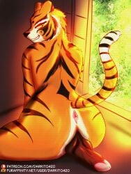3:4 anthro ass balls big_penis darkito420 digital_media_(artwork) dreamworks felid fur futanari genitals hi_res intersex kung_fu_panda mammal master_tigress muscular nude orange_body pantherine penis smile solo tail tiger