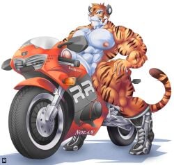 abs biceps feline male muscles muscular muscular_arms muscular_legs muscular_male muscular_thighs pecs penis tail tiger