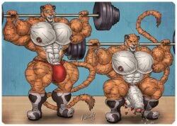 abs biceps big_muscles exercising feline male mrmapolomi muscles muscular muscular_arms muscular_legs muscular_male muscular_thighs pecs penis tail tiger