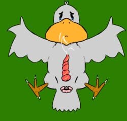 anatomically_correct_penis beak cumshot_on_beak duck grey_skin ibispaint_(artwork) low_effort low_quality penis pink_butthole simple_background simple_shading tears