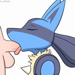 1:1 2025 2d_animation ambiguous_anthro ambiguous_focus ambiguous_gender ambiguous_on_human ambiguous_penetrated animated anthro anthro_focus anthro_penetrated artist_name balls black_body black_fur black_inner_ear blinking blue_body blue_ears blue_fur body_part_in_mouth chest_spike digital_media_(artwork) duo erection faceless_character faceless_human fellatio fur generation_4_pokemon genitals heart_symbol human human_on_anthro human_penetrating human_penetrating_ambiguous human_penetrating_anthro interspecies light-skinned_male light_body light_skin loop lucaforever lucario male male/ambiguous male_human male_on_anthro male_penetrating male_penetrating_ambiguous male_penetrating_anthro mammal multicolored_body multicolored_ears multicolored_fur neck_tuft nintendo nude nude_human nude_male oral oral_penetration penetration penile penis penis_in_mouth pink_tongue pokemon pokemon_(species) pokephilia pupils red_eyes sex short_playtime side_view signature simple_background solo_focus spikes spikes_(anatomy) text tongue tongue_out tongue_out_fellatio tuft white_background yellow_body yellow_fur