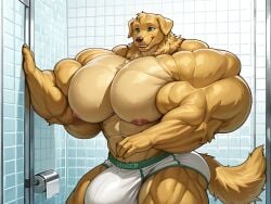 1boy abs ai_generated anthro bathroom big_bulge big_pecs bulge canid canine canis domestic_dog huge_bulge huge_muscles huge_pecs hyper_bulge hyper_muscles hyper_pecs labrador male male_only muscles pecs powerpulsearts retriever underwear veiny_muscles yellow_fur