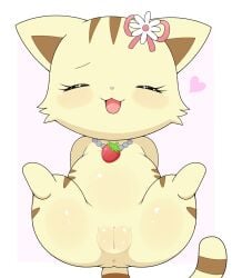 accessory anthro anus azuo blush brown_markings brown_stripes chibi closed_eyes domestic_cat felid feline felis female flower flower_accessory food fruit fur genitals hair_accessory hairclip heart_symbol hi_res jewelpet jewelry love_handles mammal markings necklace plant presenting presenting_vulva pussy ribbons sango_(jewelpet) sanrio sega_fave slightly_chubby solo spread_legs spreading strawberry striped_body striped_fur stripes tabby_cat tail thick_thighs vulva yellow_body yellow_fur