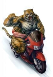 abs biceps feline male muscles muscular muscular_arms muscular_legs muscular_male muscular_thighs pecs penis tiger