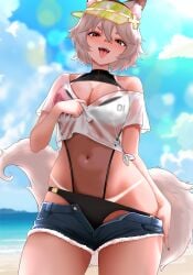 shirahiko (vtuber) from indie virtual youtuber