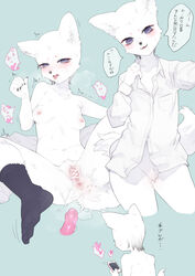 anthro anus blue_eyes blush bodily_fluids bottomless breasts canid canine cellphone cheek_tuft clothed clothing crotch_tuft dialogue dildo female fox fur genital_fluids gosannana heart hi_res japanese_text legwear mammal masturbation mostly_nude multiple_poses nipples open_mouth phone plantigrade pose pussy pussy_juice sex_toy shirt smartphone socks solo text tongue tongue_out topwear translation_request tuft white_fur