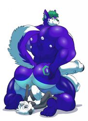 2boys anal anal_sex ass balls big_balls big_butt big_penis black_fur blue_fur canid canine canis diphallia diphallism erection eroborus foreskin fur giant_panda girly green_hair hair hi_res huge_balls huge_butt huge_cock joji_(@jojipando) male male/male male_only mammal multi_penis muscular muscular_male penetration penis size_difference uncircumcised uncut ursid white_fur white_hair wolf