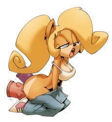 coco bandicoot from activision by bigdad