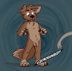 anthro balls brown_eyes brown_fur canid canine canis domestic_dog flaccid foreskin fur humanoid_penis male male_only mammal matt_riskely nude penis shocked_expression simple_background tinydeerguy uncut