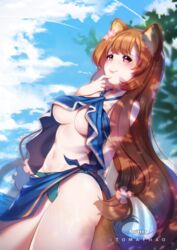 animal_ears animal_tail brown_hair female hair_down hair_ornament languyenngocthao raccoon_ears raccoon_girl raccoon_tail raphtalia solo swimsuit tate_no_yuusha_no_nariagari tomathao underboob