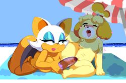 Isabelle (Animal Crossing) Rule 34 Image
