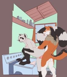 2019 abraxocleaner animated anthro anus canid canine character_request erection female female_penetrated fox frame_by_frame from_behind_position fur furry furry_only fuzzamorous hi_res male male/female male_penetrating mammal naked nude original original_character original_characters penetration penis procyonid pussy raccoon straight tail vaginal_penetration