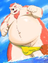 2019 anthro belly blue_eyes blush clothing hi_res humanoid_hands kumajjjj male male_only mammal moobs navel nipples outside overweight overweight_male penis swimwear ursid water