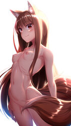 1girls animal_ear_fluff animal_ears bangs blush breasts brown_hair closed_mouth collarbone commentary_request dosu_(doseven) eyebrows_visible_through_hair female highres holo long_hair looking_at_viewer navel nipples nude oerba_yun_fang red_eyes simple_background small_breasts smile solo spice_and_wolf standing tail white_background wolf_ears wolf_girl wolf_tail