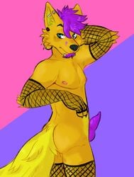 2019 anthro bubblegumboi canid canine canis clothed clothing digital_media_(artwork) dingo erection facial_hair fishnet fox fur goatee hair hi_res hybrid looking_back male mammal naughty_face partially_clothed penis piercing short_hair toony yellow_fur