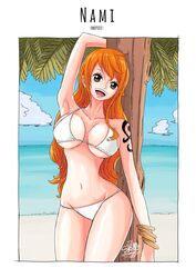 1girls bikini breasts female female_focus female_only nami one_piece orange_hair pinup shellmaru solo_female