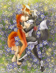 animal_genitalia anthro balls canid canine canis coyzoi digitigrade flower fox male male/male male_pregnancy mammal nude plant pregnant rooshovuak sheath tongue tongue_out wolf