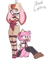 2d 2girls alternate_costume amy_rose arms_behind_back bad_end ball_gag barely_clothed bondage bound boundlightning bunnysuit damsel_in_distress domination enslaved female female_focus female_only femsub forced forced_exposure forced_submission gag gagged game_over heels helpless humanoid humiliation kidnapped peril punishment restrained rope rope_bondage sad sad_sub school_uniform schoolgirl sex_slave skirt slave slavegirl sonic_(series) sonic_the_hedgehog_(series) submissive submissive_female thick_thighs thighs tied_to_pole tied_up unhappy unhappy_female vanilla_the_rabbit worried