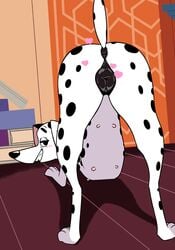 101_dalmatian_street 101_dalmatians absurd_res anatomically_correct animal_genitalia animal_pussy anus ass canid canine canine_pussy canis dalmatian delilah_(101_dalmatians) disney domestic_dog female feral hi_res hypergal mammal presenting presenting_hindquarters pussy solo spots