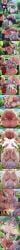 absurdly_large_cock absurdly_large_penis aggressive aggressive_sex ai_generated ass_bigger_than_head ass_grab balls big_cock big_dick big_penis blowjob breasts breasts_bigger_than_head bubble_ass bubble_butt clothed_female comic comic_strip continue_after_cum continue_thrust_after_cum cum cum_drip cum_everywhere cum_in_mouth cum_in_pussy cum_inflated cum_inflated_belly cum_inside cum_on_body cum_on_breasts cum_on_face cum_on_penis cum_on_upper_body cum_overflow cum_overflowing cum_while_penetrated cumflated cumflated_belly cumflation cumming_together deep_penetration deepthroat dominant_futa doranne drooling excessive_cum excessive_saliva eyes_rolling_back female forced forced_kiss forced_oral forced_orgasm forced_sex french_kiss french_kissing frieren frieren_beyond_journey's_end full_nelson futa_on_female futanari gigantic_ass gigantic_breasts gigantic_penis gigantic_thighs god_i_wish_that_were_me grin hours_later huge_ass huge_balls huge_breasts huge_butt huge_cock huge_thighs impregnation inflated inflated_belly inflation intersex kissing kissing_while_penetrated large_cock large_dick large_penis mating_press meaty_dick multiple_ejaculations narrow_waist novelai passionate_kiss passionate_sex penis pussy round_ass round_belly sasha_necron sousou_no_frieren stomach_bulge submissive_female the_misfit_of_demon_king_academy