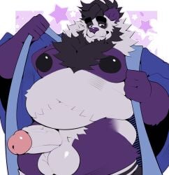 absurd_res anthro balls bear belly black_nipples bruno_(panfluff) butt chest_tuft clothing father_(lore) footwear foreskin fur gay gay_anal genitals giant_panda hair hi_res homosexual homosexual_male looking_down male male_focus male_only male_penetrated male_penetrating mammal multicolored_body multicolored_fur neku nipples parent_(lore) penis purple_body purple_eyes robe seductive slightly_chubby socks solo tuft undressing white_body