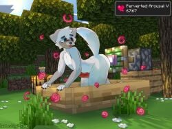 4:3 absurd_res anal anal_penetration anthro blue_eyes blush canid canine canis cloud femboy flower fucking_machine gameplay_mechanics gay gay_anal gay_masturbation genitals grass grey_body hi_res homosexual homosexual_male knot knotted_penis lutheshinything machine male male_focus male_only male_penetrated mammal microsoft minecraft minecraft_sheep_fucker mojang nude penetration penis plant sky solo status_effect stuck sun tree wolf wolf_(minecraft) xbox_game_studios