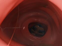 agent_3_(splatoon_3) agent_8_(splatoon) anal_vore bigger_female giantess octoling_boy rectum splatoon splatoon_(series)