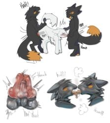 anthro balls balls_touching black_body black_fur blush bodily_fluids casualties:_unknown cum cum_while_penetrated dripping ejaculation expie_(gunsawian) fangs fellatio foxpudding french_kissing frottage fur genital_fluids genitals group gunsawian hi_res kissing knot knotted_penis knotting male male/male milky_(gunsawian) oral oral_knotting oral_penetration orange_blush orange_body orange_eyes orange_fur orange_sclera orange_tongue pawpads penetration penile penis penis_size_difference penises_touching precum precum_drip saliva saliva_drip saliva_string sex spitroast spitroast_kiss tail tail_grab teeth throbbing throbbing_penis tongue trio triple_frottage white_body white_fur