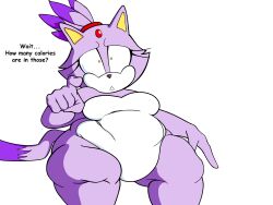 blaze the cat from sega by scarletschnoz