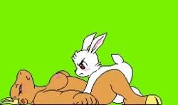 naughty rabbit fan art