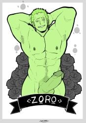 roronoa zoro from one piece by baraboy