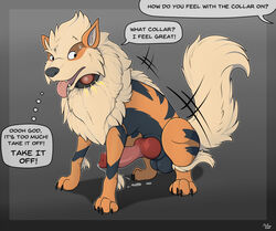 arcanine from nintendo by mcfan