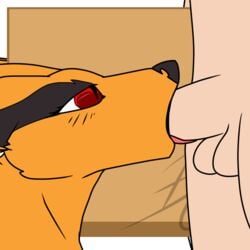 1:1 1boy 2019 ambiguous_gender ambiguous_penetrated animated biped blowjob blush canine deadxqueen deepthroat duo erection eye_contact face_fucking faceless_male fellatio fellatio_from_feral female_kurama_(naruto) feral fox fur furry genderswap genderswap_(mtf) genitals half-closed_eyes human human_on_feral human_penetrating interspecies irrumatio kurama light_skin loop male male_on_feral male_penetrating mammal naruto no_gag_reflex oral oral_penetration orange_fur penetration penis penis_in_mouth red_eyes rule_63 side_view tailed_beast testicles text throat_bulge throat_fuck tongue tongue_out tongue_out_blowjob watermark zoophilia