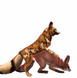 3d animal animal_ears animal_genitalia animal_penis animal_tail animals animals_mating animals_only doggy_style female feral feral_on_feral fox fox_ears fox_tail foxes fur male no_background orange_fur red_fur white_background wildcraft