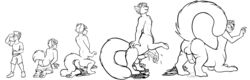 ailurid bodily_fluids clothing crazy-husky crazyhusky cum ejaculation erection genital_fluids hi_res human_to_anthro line_art mammal masturbation naughtygryph nude red_panda species_transformation taur taur_transformation torn_clothing transformation transformation_sequence