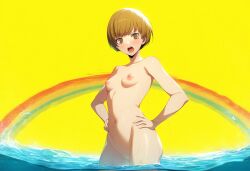 ai_generated atlus breasts female female_only flat_chest nai_diffusion naked nude persona persona_4 satonaka_chie solo stable_diffusion tagme water