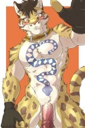 abs anthro blush clouded_leopard collar collar_only felid flaccid genitals hi_res hiei0221 likulau male mammal muscular muscular_male nekojishi nude pantherine pecs penis solo studio_klondike