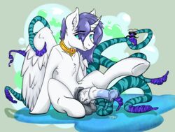 2019 alicorn animal_genitalia animal_penis balls bodily_fluids collar digital_media_(artwork) dripping equid equine equine_penis erection fan_character feathered_wings feathers fur genital_fluids hair hi_res horn horsecock hunterdog5by5 looking_at_viewer male mammal my_little_pony netori_(character) penis presenting presenting_penis purple_hair smile solo spread_legs spreading tentacle white_feathers white_fur wings