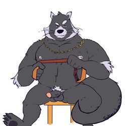 1:1 2019 anthro balls belly binturong erection hi_res humanoid_hands humanoid_penis male male_only mammal nipples overweight overweight_male penis riversausage simple_background sitting solo viverrid white_background