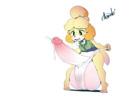 1futa 2019 absurdres animal_crossing anthro argento balls blush erection furry futa_only futanari highres hyper hyper_balls hyper_penis hyper_testicles intersex isabelle_(animal_crossing) nintendo panties penis solo testicles