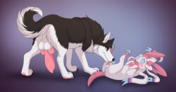 canid canine canis domestic_dog eeveelution feral hi_res invalid_tag licking male male_only mammal nintendo penis pokémon_(species) pokemon shy silvergrin sylveon tongue tongue_out video_games wolf